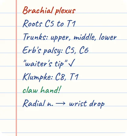 Hand-written notes preview