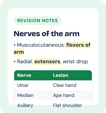 Revision notes preview